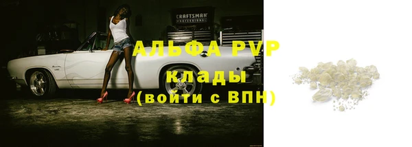 мяу мяу мука Баксан