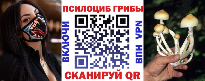Псилоцибиновые грибы Psilocybine cubensis  купить   Жердевка 