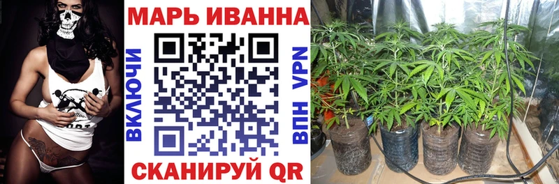 МАРИХУАНА планчик Жердевка